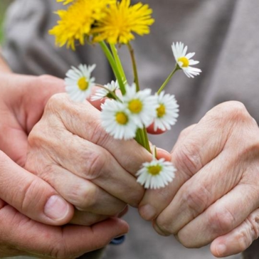 Les meilleurs soins en cas de démence